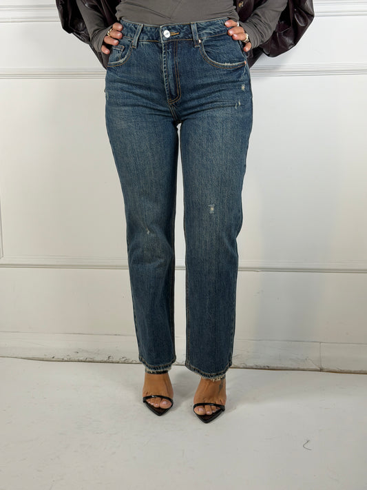 Jeans Regular Fit 3000 58